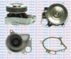 AQUAPLUS 85-4620 Water Pump